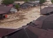 PW KAMMI Sumatera Utara Mendesak Pemerintah Pusat Naikkan Status Bencana Hidrometeorologi di Sumatera Menjadi Darurat Bencana Nasional
