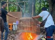 Polresta Malang Kota Bongkar dan Musnahkan Arena Judi Sabung Ayam di Wonokoyo
