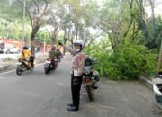 Polsek Buduran dan DLHK Sidoarjo Tangani Pohon Tumbang di Depan Museum Mpu Tantular