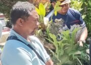 Sidang Sengketa Tanah di Kuwum, Saksi Diduga Ditekan Oknum Kelian Dinas dan Kepala Desa