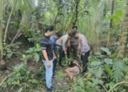 Kurang dari 4 Jam, Kasus Penganiayaan di Bergas Diamankan, Satu Korban Luka-luka