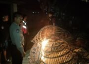 Respon Aduan Warga Adanya Sabung Ayam, Polsek Balongbendo Turun Langsung Datangi Lokasi