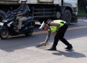 Antisipasi Nataru, Satlantas Polres Gresik Tandai Jalan Berlubang di Raya Deandles