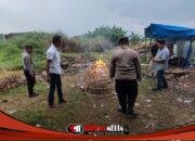 Respon Aduan Warga Adanya Sabung Ayam, Polsek Tulangan Turun Langsung ke Lokasi