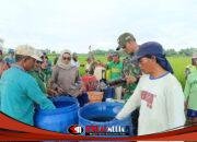 Koramil 0815/06 Kemlagi Bersama Kecamatan Kemlagi Gelar Penyemprotan Serentak Cegah Penyakit Kresek pada Padi