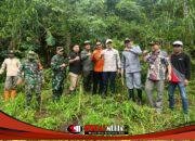 Cegah Bencana Hidrometeorologi, 2.000 Pohon Ditanam di Desa Gunungsari