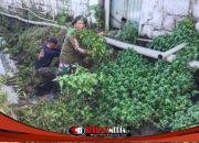 Karya Bakti Mitigasi Bencana, Koramil Rayon 3 Kodim 0815/Mojokerto Bersama Warga Bersihkan Sungai di Payungrejo