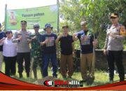 PWI Gresik Tanam 400 Pohon Produktif, Pemkab Beri Apresiasi