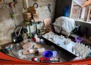 Pot Bunga Gypsum, Alternatif Dekorasi Estetik dan Ramah Kantong