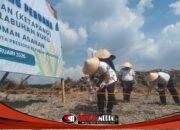 Bupati Asahan Hadiri Penanaman Jagung Perdana Program Ketahanan Pangan
