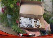 Cenil Tradisional yang Tetap Eksis di Tengah Zaman Modern