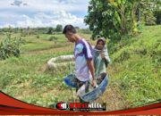 Terong Ungu dan Harapan Masyarakat: Kepedulian Satgas TMMD 127 di Sumenep