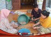 Membaur Dengan Warga, Satgas TMMD Kodim 0827/Sumenep Bantu Ngupas Kacang Tanah Hasil Panen