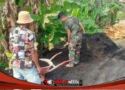 Penuh Semangat Di Bulan Suci Ramadhan, Satgas TMMD 127 Kodim 0827/Sumenep Kebut Pembangunan RTLH