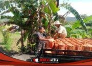Satgas TMMD Kebut Pemasangan Atap Rumah Warga di Mandala