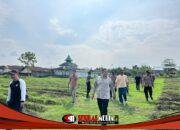Ketahanan Pangan Alternatif, Uwi Ungu Polres Kediri Tumbuh Subur