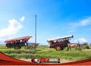 Tiket Wisata Watu Ulo dan Papuma Jember Murah, Wisatawan Membludak