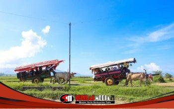 Tiket Wisata Watu Ulo dan Papuma Jember Murah, Wisatawan Membludak