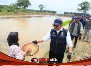 Kendarai Motor Ke Lokasi Cetak Sawah Sungai Dua Herman Deru Dorong Petani Banyuasin Percepat Tanam