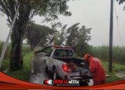 Gerak Cepat, BPBD Kota Kediri Tuntaskan Penanganan Dampak Cuaca Ekstrem di 18 Titik