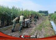 Gotong Royong TNI dan Warga, Pembangunan Jembatan Perintis Garuda Terus Berjalan