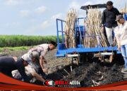 MKSO Kebun Dhoho Terapkan Program Operational Excellent