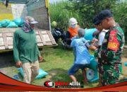 Petugas TNI bersama Bulog dan petani saat kegiatan serapan gabah di Kemlagi untuk menjaga stabilitas pangan dan kesejahteraan petani