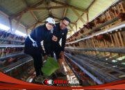 Wali Kota Probolinggo Gowes Keliling Kota, Tinjau Infrastruktur dan Peternakan Ayam