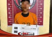 Edarkan Sabu di Teluk Nibung, Nelayan 48 Tahun Diringkus Tim Gabungan Kodim 0208 dan Polres Tanjung Balai