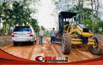Kolaborasi Warga Dan Pemkab Muba Sukses Pulihkan Jalan Rusak Di Jirak Jaya