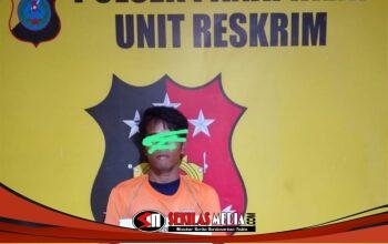 Tim Opsnal Reskrim Polsek Panai Hilir Tangkap Nelayan Pengedar Sabu di Sei Berombang, 2,53 Gram Sabu Diamankan