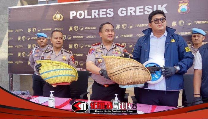 Tindak Lanjuti Laporan 110, Tim Resmob Satreskrim Polres Gresik Gerebek Judi Sambung Ayam di Wringinanom