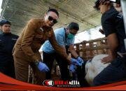Jelang Idul Adha, Wali Kota Wahyu Pastikan Hewan Kurban di Kota Malang Sehat dan Layak Sembelih