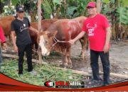 PDI Perjuangan Gresik Salurkan Hewan Kurban untuk Ponpes dan Masyarakat