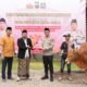 Idul Adha 2026, Polresta Sidoarjo Salurkan 100 Hewan Kurban