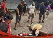 Disaksikan Gen Z, Berqurban di Masjid Wakaf Ash Shofaa bukan Sekedar Seremonial Belaka