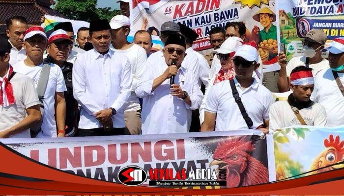 Harga Telur Anjlok, Pemkab Blitar Akan Komunikasi dengan Pemerintah Pusat terkait Penataan Harga Telur