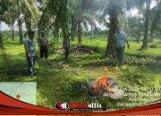 Polsek Na IX-X Bakar Gubuk Diduga Sarang Narkoba di Suka Ramai, Komitmen Berantas Narkoba