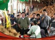 Dari Dermaga Musi Ke Thailand Inovasi Pemuda Sumsel Ubah Kelapa Jadi Komoditas Ekspor Primadona