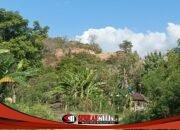 Dikeruk Secara Brutal, Bukit Di Banjar Asem Buleleng Compang Camping, Pemerintah Diminta Turun Bertindak