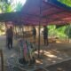Polisi Bongkar Arena Diduga Sabung Ayam di Puri Mojokerto, Kalangan Dirobohkan dengan Gergaji Mesin