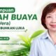 Kemampuan Lidah Buaya (Aloe vera) Menyembuhkan Luka