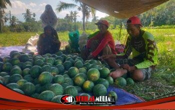 Libur MBG Membuat Pedagang Buah Bondowoso Menjerit, Penjualan dari 3 Ton Tinggal 50 Kilogram