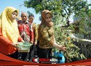 Ning Ita Ajak Warga Blooto Masifkan Gerakan Cabenisasi untuk Perkuat Ketahanan Pangan