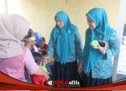 Ketua TP PKK Kabupaten Asahan Tinjau Langsung Pelayanan Posyandu di Dua Kecamatan