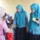 Ketua TP PKK Kabupaten Asahan Tinjau Langsung Pelayanan Posyandu di Dua Kecamatan