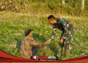 Menyapa dengan Hati di Tengah Ladang: Satgas TMMD 129 Bojonegoro Rajut Kemanunggalan TNI dan Rakyat