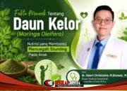 Fakta Menarik tentang Daun Kelor (Moringa oleifera): Nutrisi yang Membantu Mencegah Stunting pada Anak