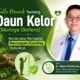 Fakta Menarik tentang Daun Kelor (Moringa oleifera): Nutrisi yang Membantu Mencegah Stunting pada Anak