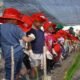 Petro Agrifood Expo 2026 Ajak Generasi Muda Kenal Agroindustri, Dukung Regenerasi Petani